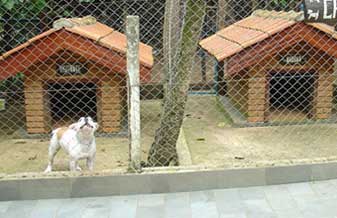 Canil Grand Pet - Foto 1