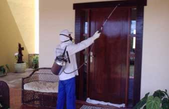 Dedetizadora Cupim Lar - Foto 1