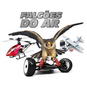 Falcões do Ar - Foto 1