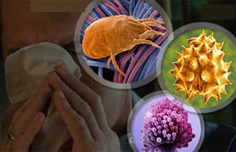 Hélio Boeira Jacobi Júnior - Foto 1