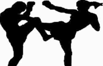 Fitness Fight Academy - Foto 1