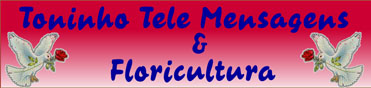 Toninho Telemensagens - Foto 1