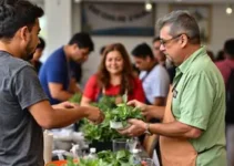 CAE de Várzea Grande