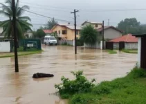 situação de emergência