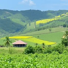 produtora de Várzea Grande