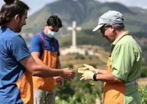 serviços no Grande Cristo Rei