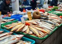 peixe a partir de R$ 24 em Várzea Grande