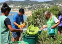 ação intensiva contra bolsões de lixo