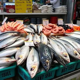 VG Santo Peixe