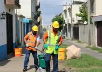 mutirão de limpeza