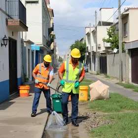mutirão de limpeza