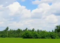 turismo em Várzea Grande