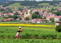 renda da agricultura familiar