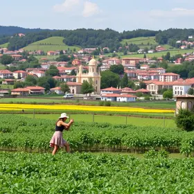 renda da agricultura familiar