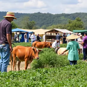 Exposição da Agricultura Familiar