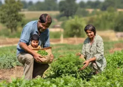 Últimas noticias de Várzea Grande