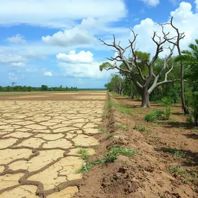situação de emergência por estiagem