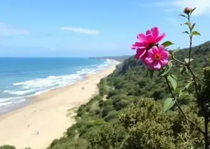 Últimas noticias de Várzea Grande